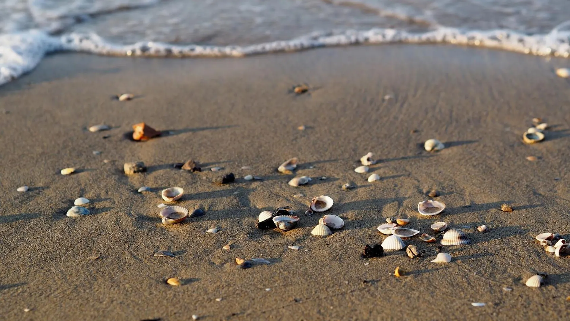 Stay Just Few Meters From The Beach Bibione